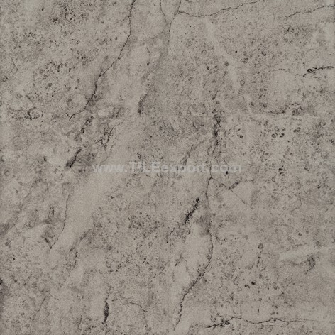 Floor_Tile--Porcelain_Tile,600X600mm[SS],AA6615